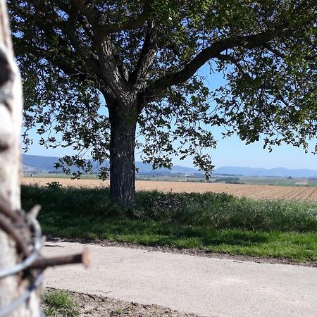 Die Gefaehrten Oberhausen  Zewnętrze zdjęcie