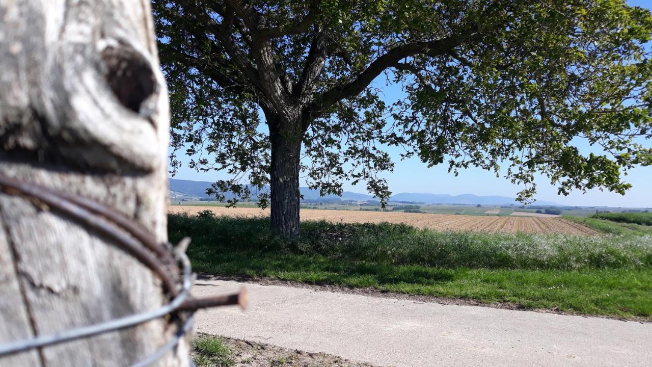Die Gefaehrten Oberhausen  Zewnętrze zdjęcie