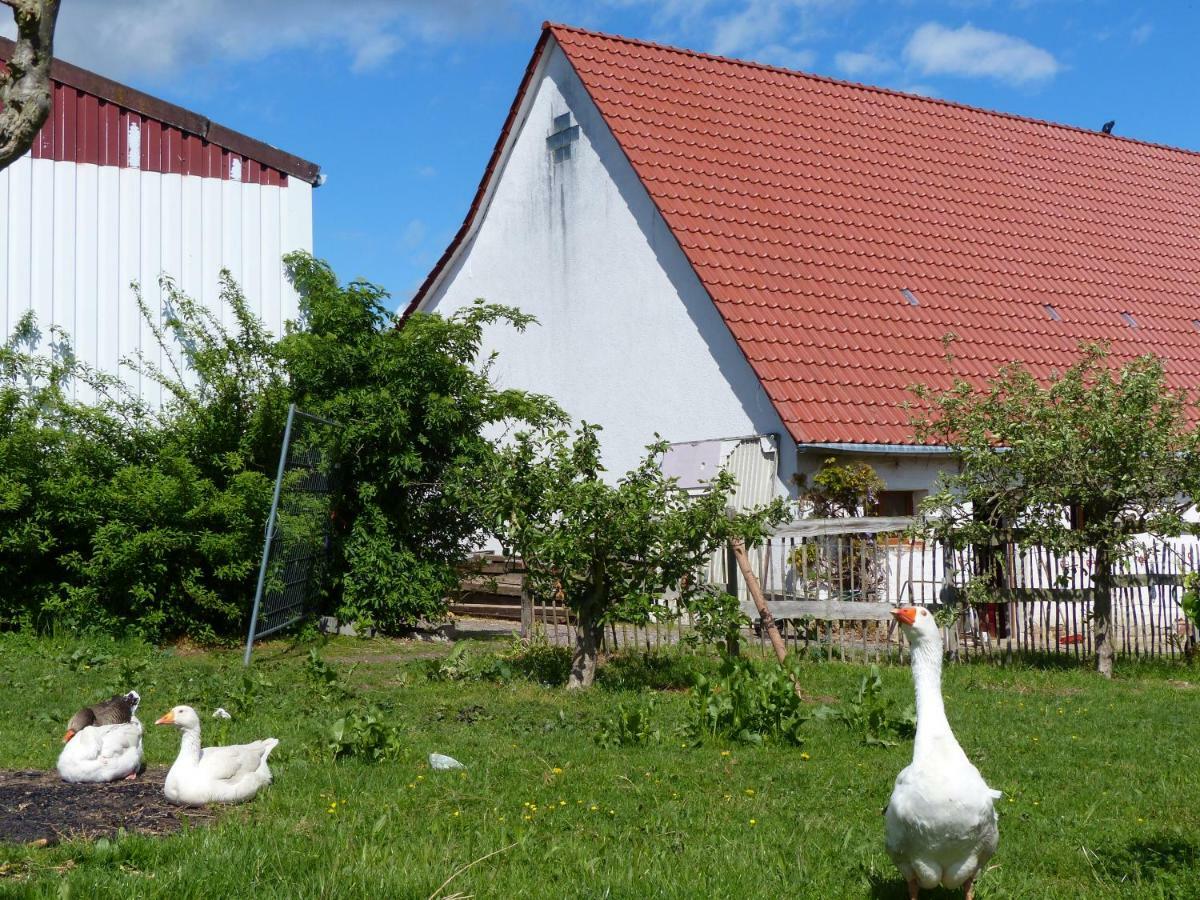 Die Gefaehrten Oberhausen  Zewnętrze zdjęcie